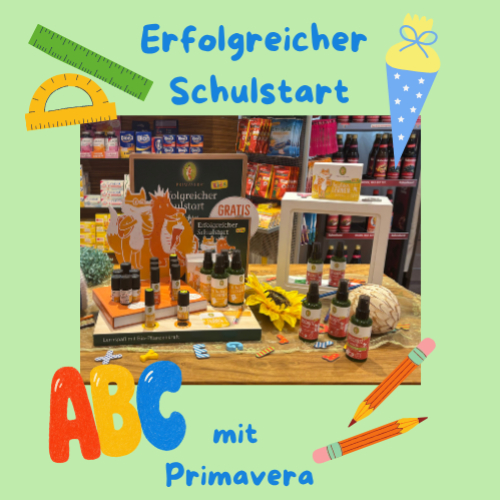 LEICHTER lernen Raumspray Bio