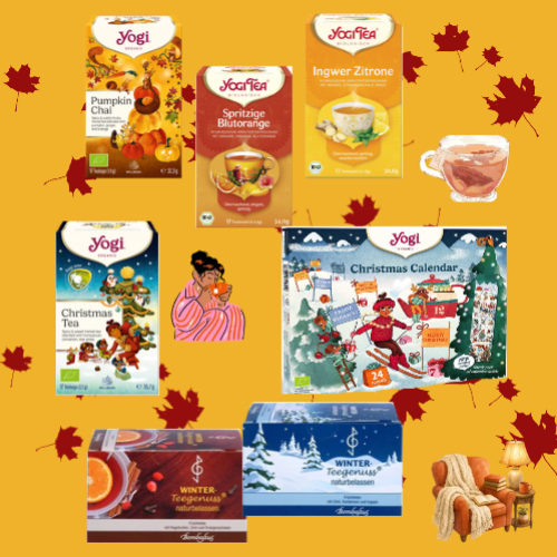 YOGI TEA Pumpkin Chai Bio Filterbeutel
