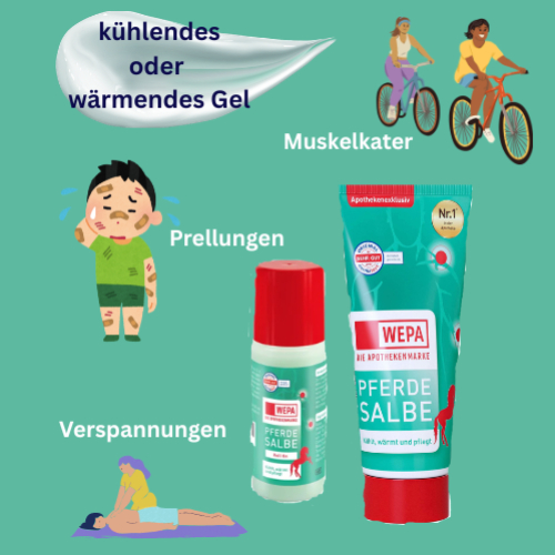 WEPA Pferdesalbe Roll-on